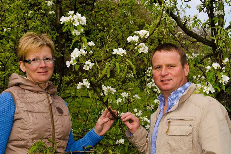 Obstgarten Hubert und Ottilie Hackl - Apfelblüte